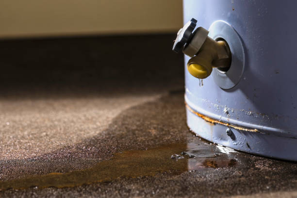 Best Residential water damage restoration  in Western Springs, IL