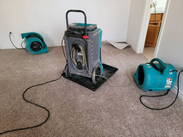 Best Professional water damage repair  in Western Springs, IL