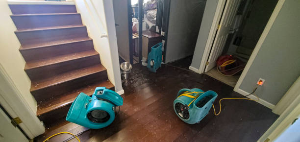 Best Water damage contractors near me  in Western Springs, IL