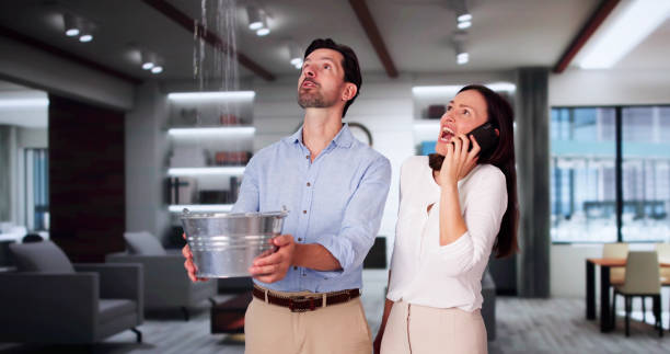 Best Flood restoration services  in Western Springs, IL