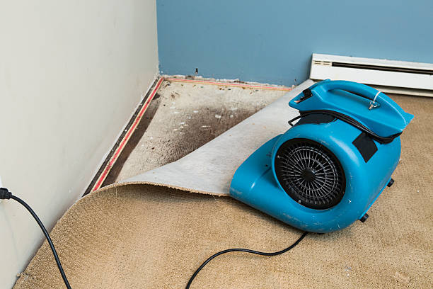 Best Ceiling water damage repair  in Western Springs, IL